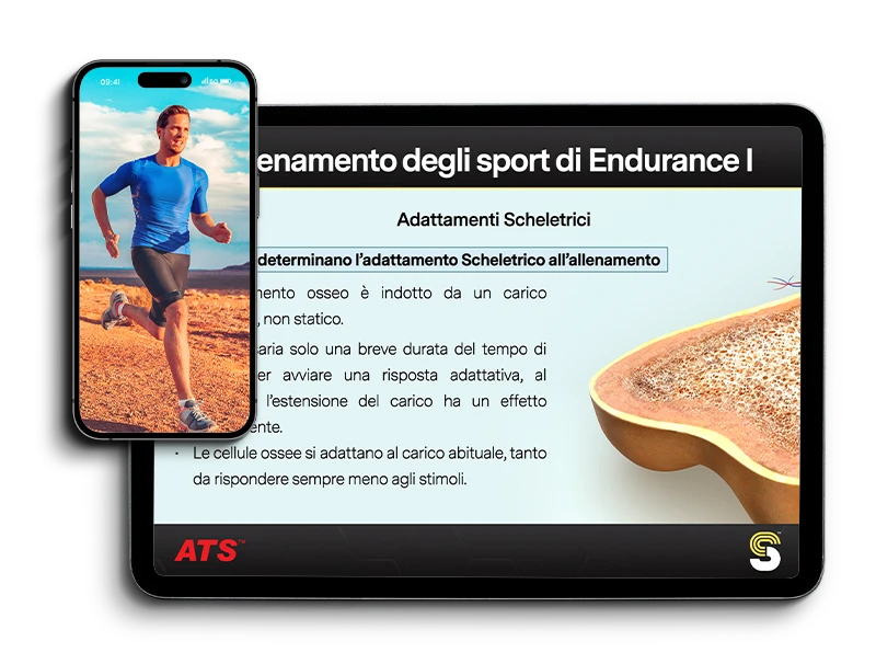 Adattamenti scheletrici negli sport di Endurance