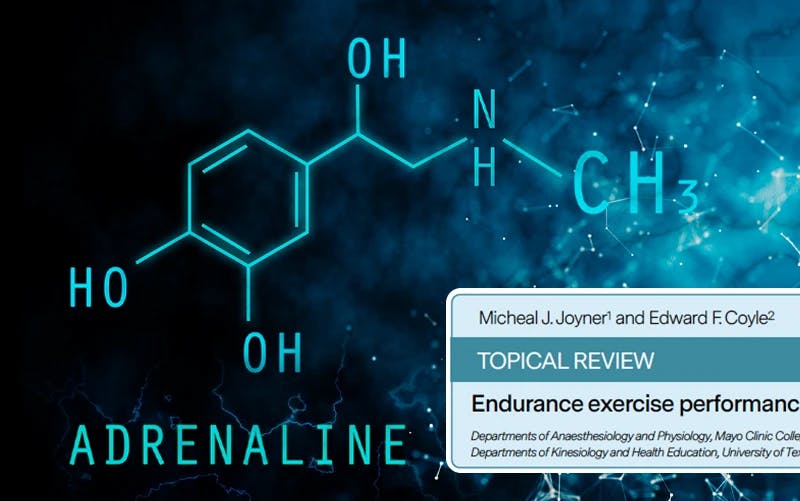 Endurance e adrenalina