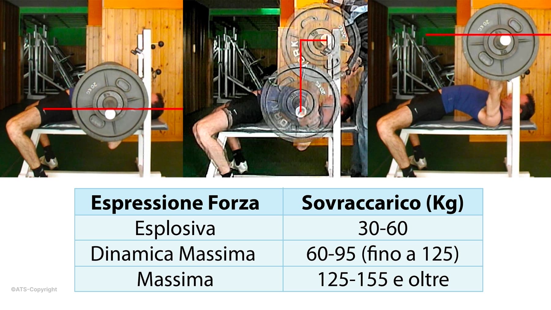 Biomeccanica-Bench-Press