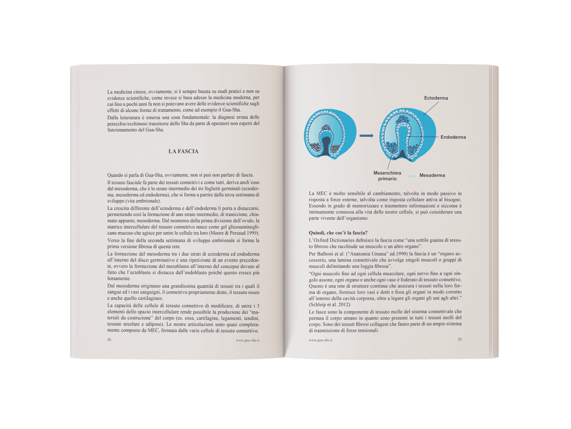 Anteprima Libro Gua-Sha 1 compresso