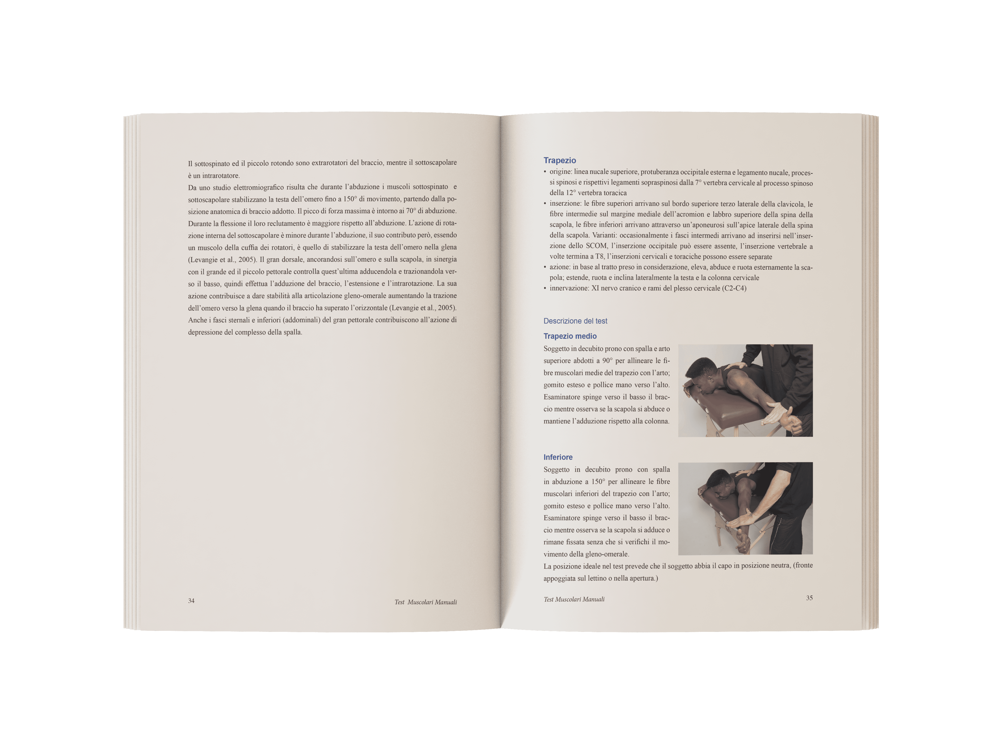 Test muscolari manuali (1)