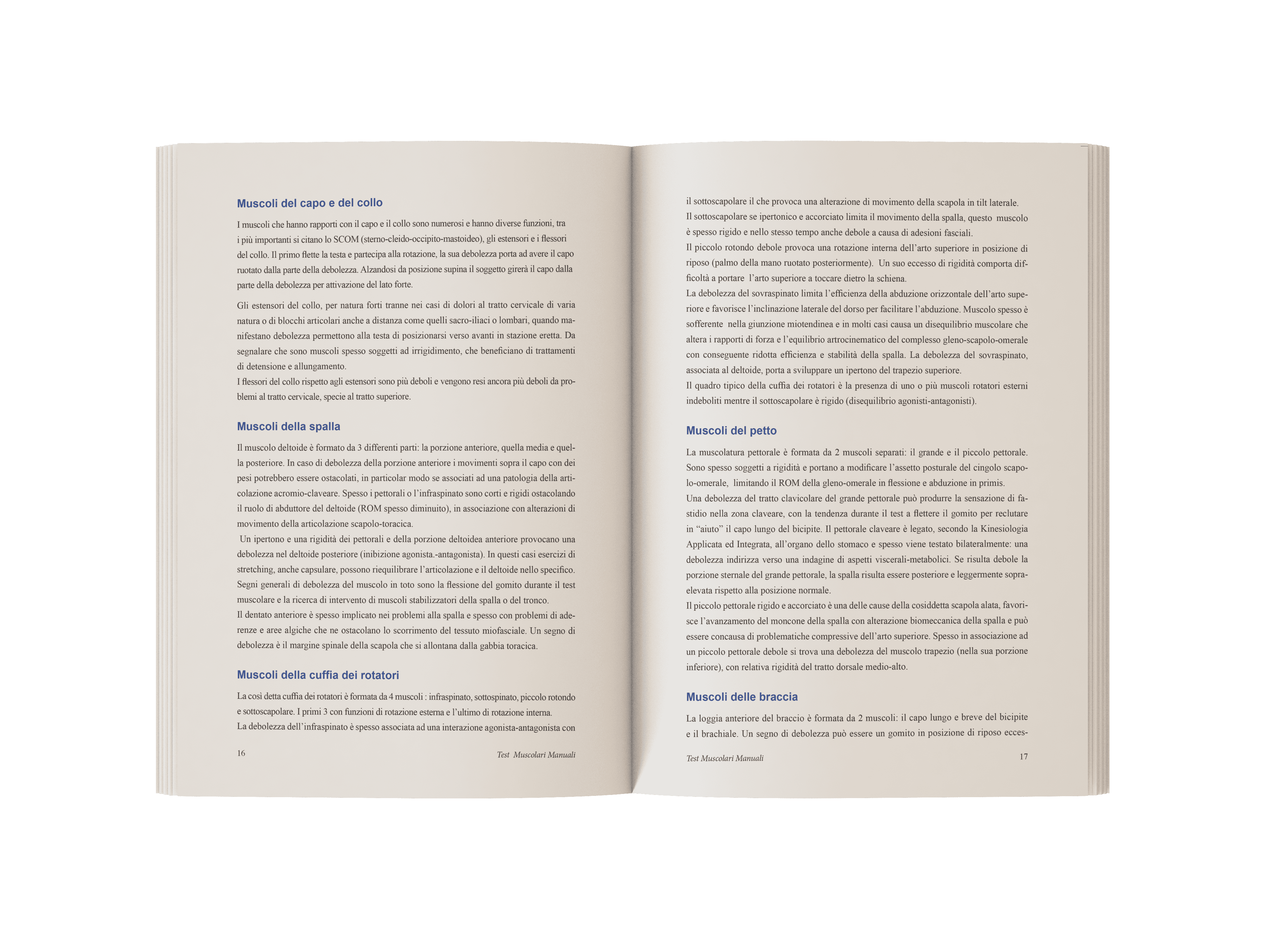 Test muscolari manuali (3)