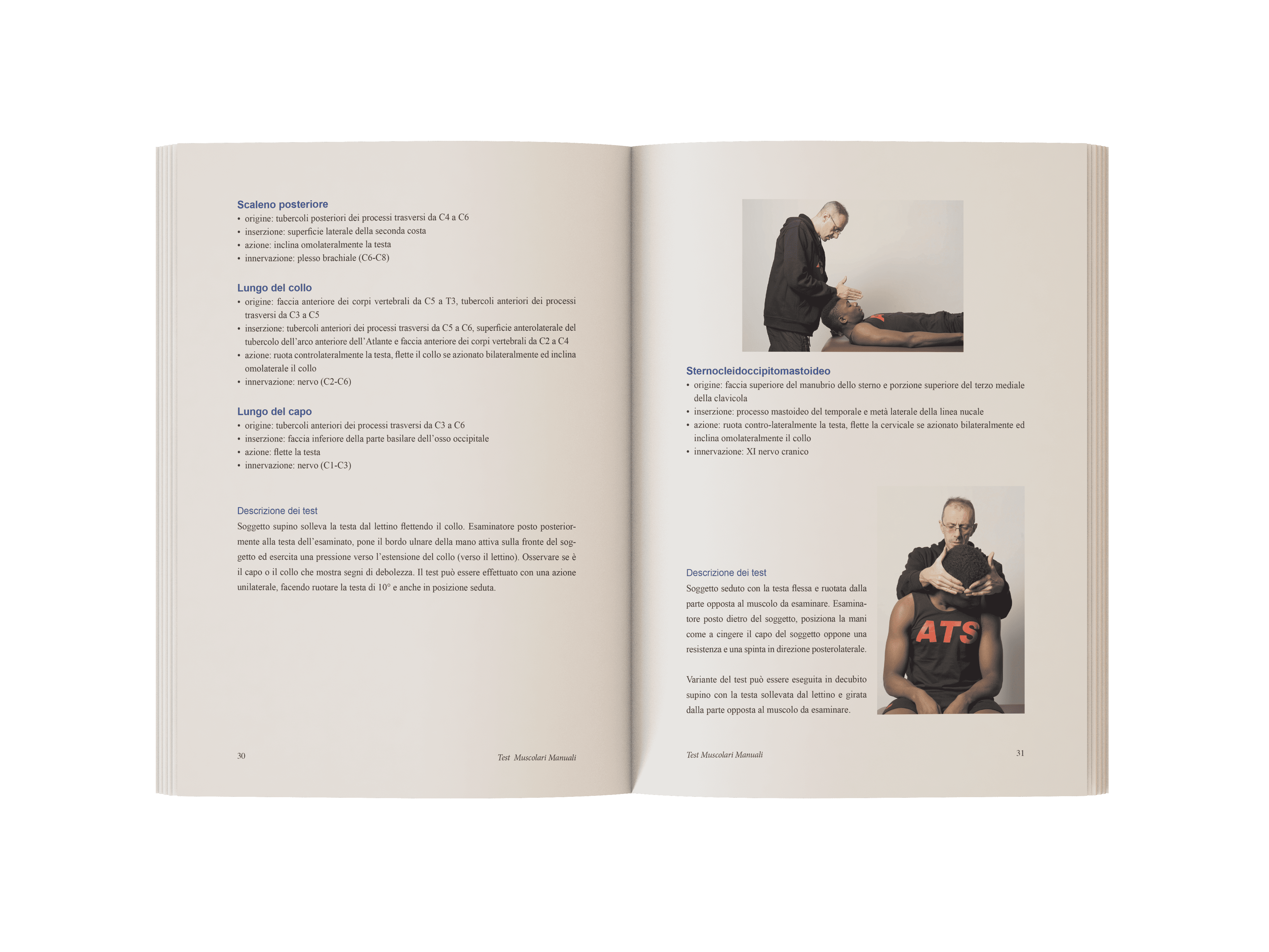 Test muscolari manuali (4)