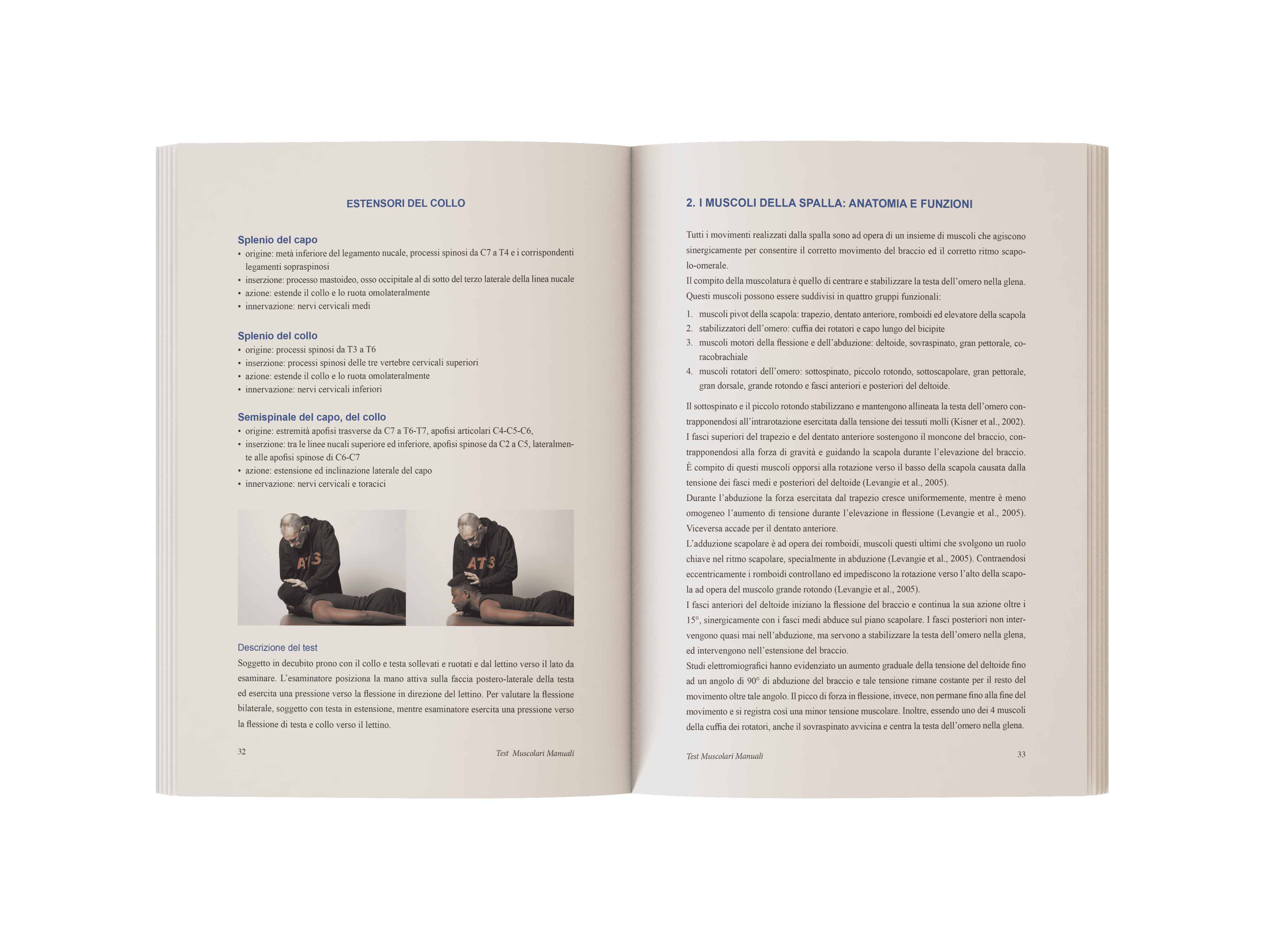 Test muscolari manuali (5)