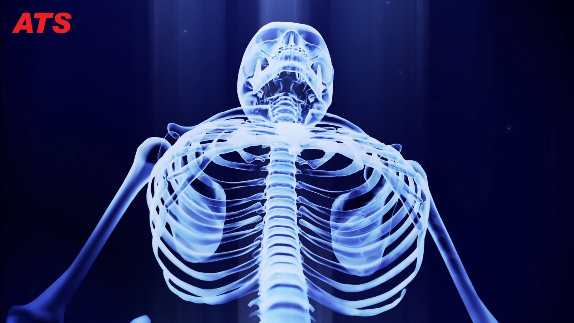 Master in Chinesiologia: Capolavoro di Dettagli