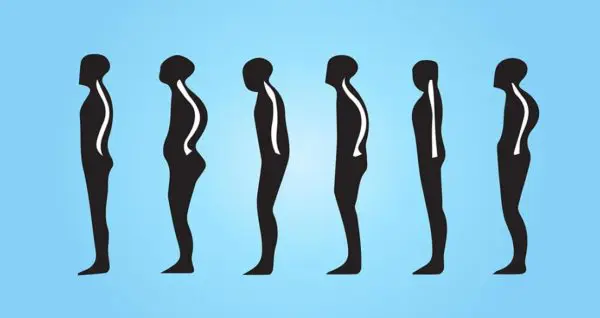 Posizioni, esercizi e carichi vertebrali