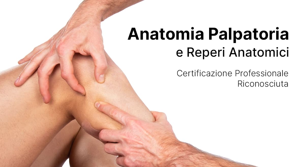 Anatomia-Palpatoria-corso-ATS-Riconosciuto